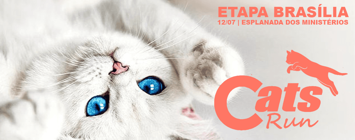 Corrida Cats Run Df 2026 em Brasília, DF