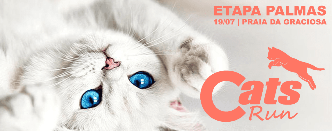 Corrida Cats Run To 2026 em Palmas, TO
